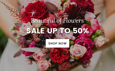 presentación de diapositivas