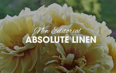 presentación de diapositivas