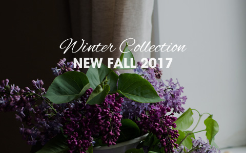 presentación de diapositivas