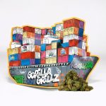 Cañamo Cbd Gorilla Grillz G.House Small Buds 100 gr.