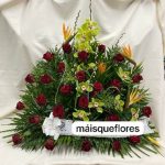 Centro Ave del paraiso